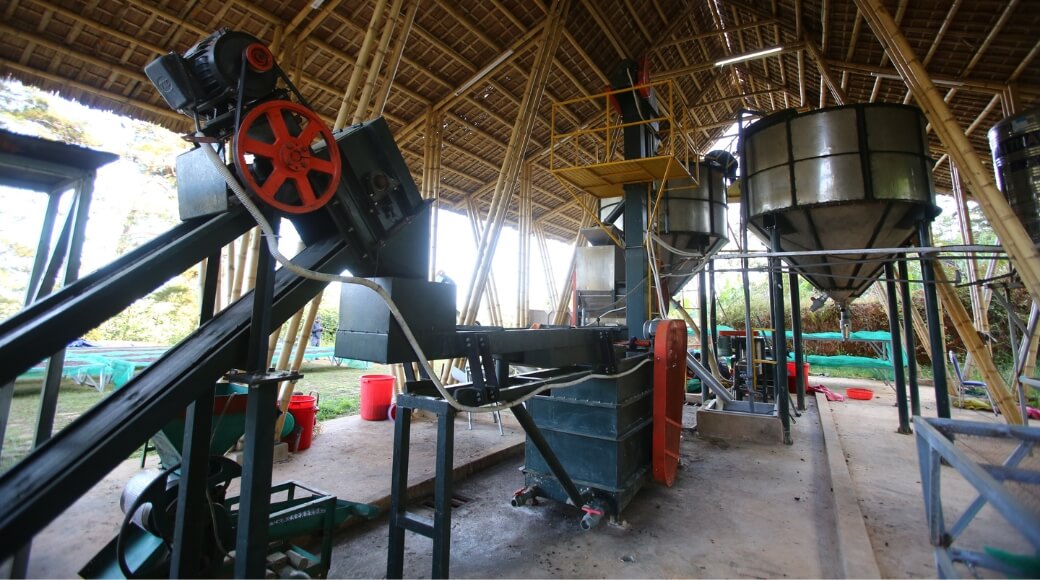 Dàn mày chế biến cà phê tươi | Puro Coffee 1