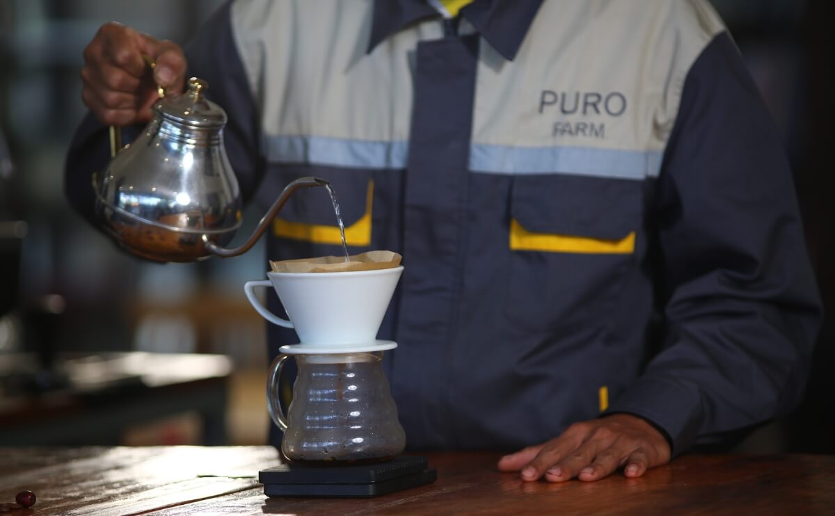 Puro Origin Langbiang Coffee Review: Brewing Recommendations