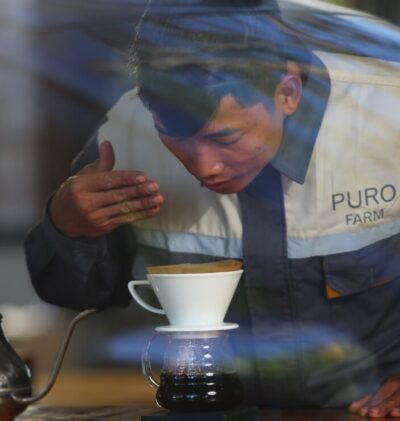 Puro Origin Langbiang Coffee Review: Flavor, Roast & Brewing Tips | Puro Coffee