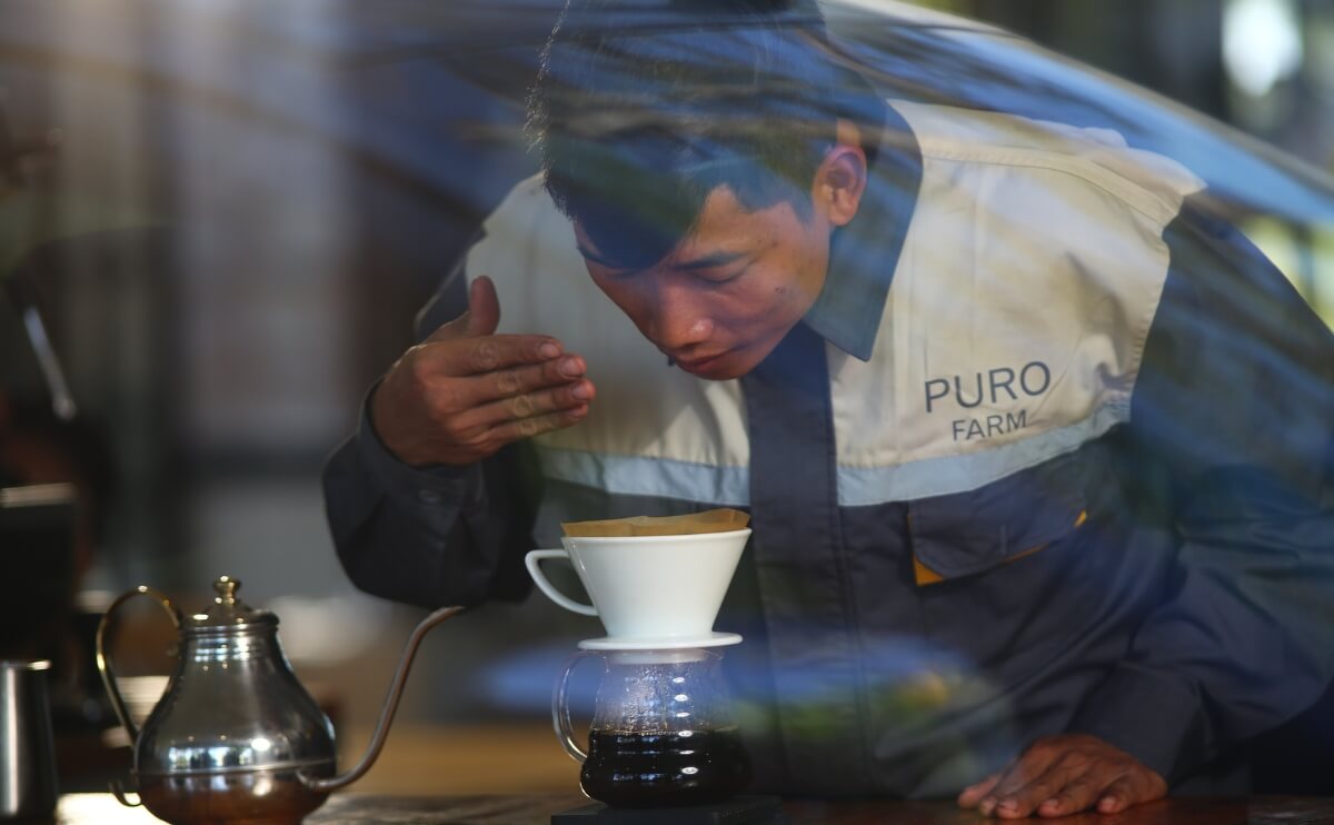 Puro Origin Langbiang Coffee Review: Flavor, Roast & Brewing Tips | Puro Coffee